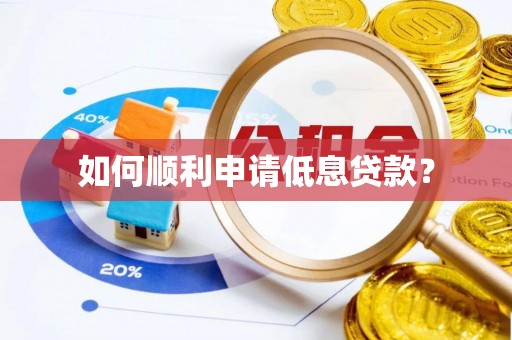 博湖如何顺利申请低息贷款？