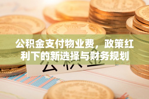 博湖公积金支付物业费，政策红利下的新选择与财务规划
