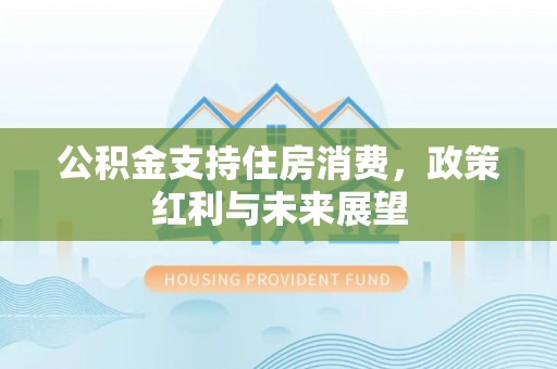 博湖公积金支持住房消费，政策红利与未来展望