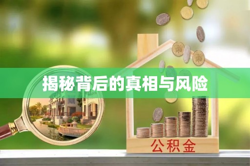 博湖揭秘背后的真相与风险