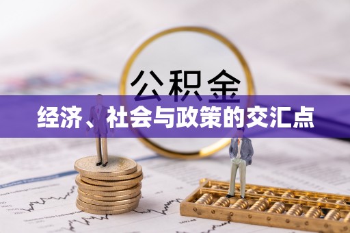 博湖经济、社会与政策的交汇点
