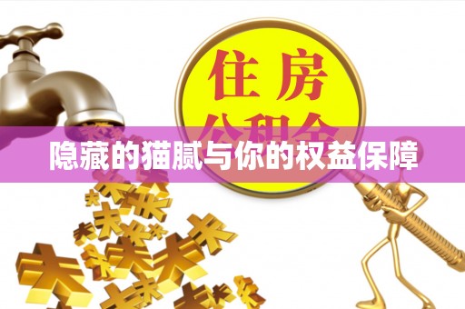 博湖隐藏的猫腻与你的权益保障