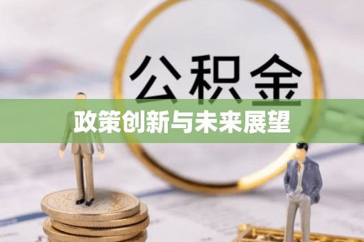 博湖政策创新与未来展望